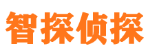 城中市私家侦探